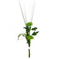 Green Anastasia - Solitär blommor - Skicka blommor i %city%